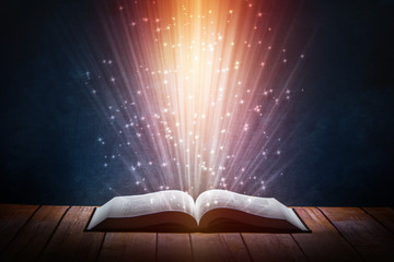 4minute和2NE1出道至今在歌谣节目和各大颁奖礼中得过哪些奖？