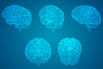 压滤机滤布是什么材质的