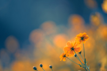 创维 机顶盒 按了待机键怎么唤醒