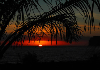 压滤机滤布是什么材质的