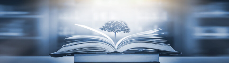 公司起名带字的最佳宜用名寓意吉利的名字集？