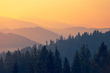 分手不是我的错歌词