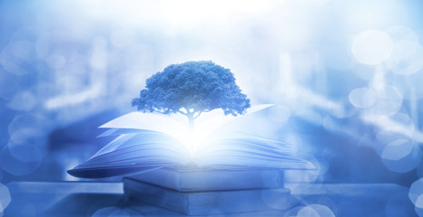 anyband talk play love 中文意思是什么？