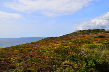 4minute和2NE1出道至今在歌谣节目和各大颁奖礼中得过哪些奖？