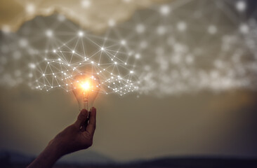 魔兽世界有哪些比较好抓的灵魂兽？