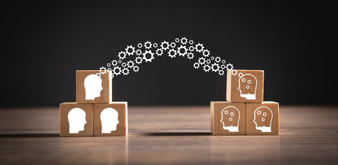 魔兽世界有哪些比较好抓的灵魂兽？