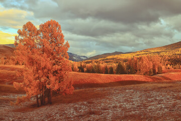 DNF求个详细的战争英雄之无双太刀属性……