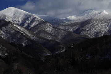 魔兽世界有哪些比较好抓的灵魂兽？