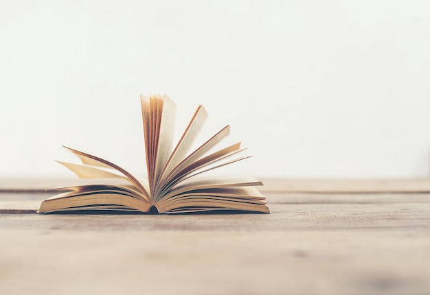 邻家花美男里那个熊猫眼女编辑叫什么？