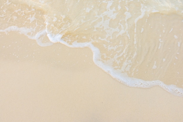 4minute和2NE1出道至今在歌谣节目和各大颁奖礼中得过哪些奖？