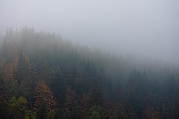 创维 机顶盒 按了待机键怎么唤醒