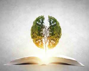 魔兽世界有哪些比较好抓的灵魂兽？