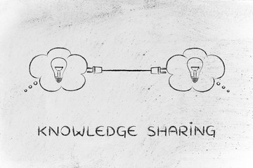 魔兽世界有哪些比较好抓的灵魂兽？