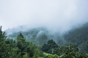 压滤机滤布是什么材质的